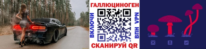 Галлюциногенные грибы прущие грибы  купить наркотик  Ладушкин 